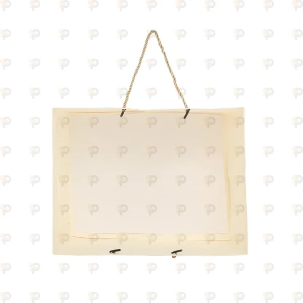 Premium Beige Paper Carry Bag with Rope Handle