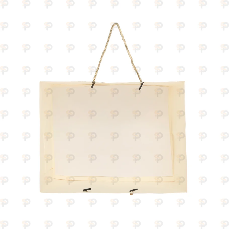 Premium Beige Paper Carry Bag with Rope Handle